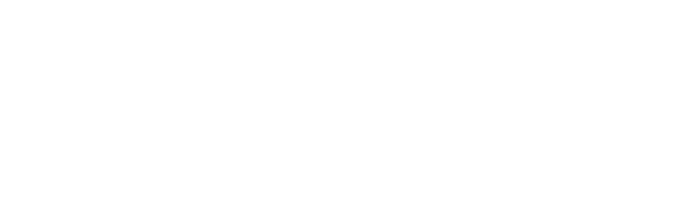 Cleaning Chief