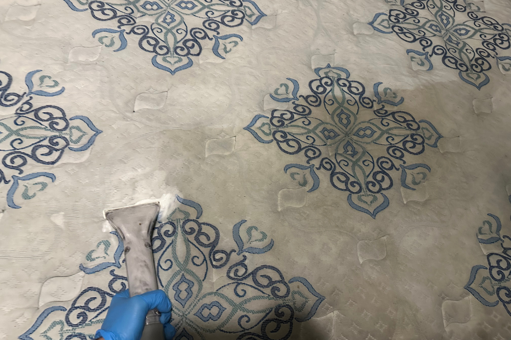 Mattress steam cleaning with odor control using commercial-grade extraction machine.